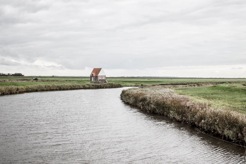 Where to see starling murmuration in southern Denmark