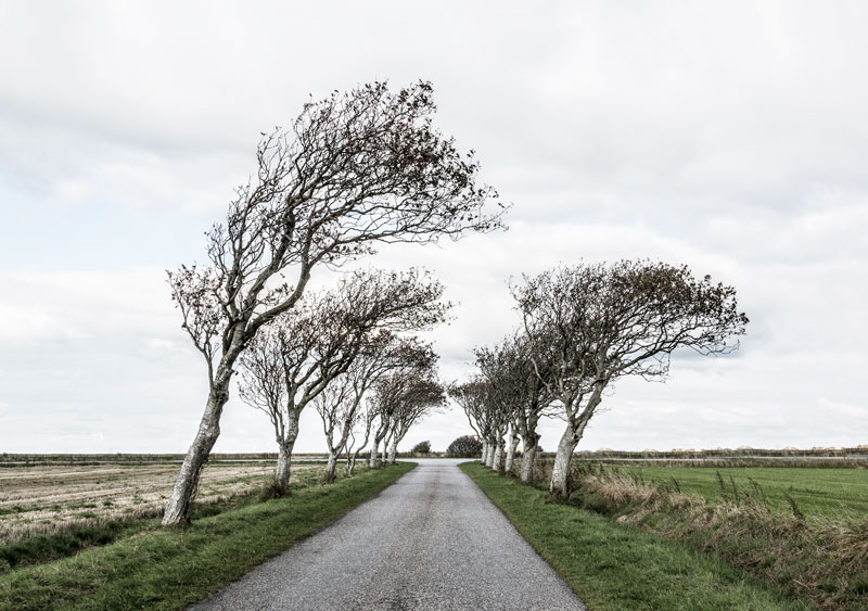 Sort Sol-safari på egen hånd i Sønderjylland