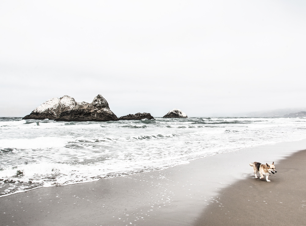 San Francisco Ocean Beach