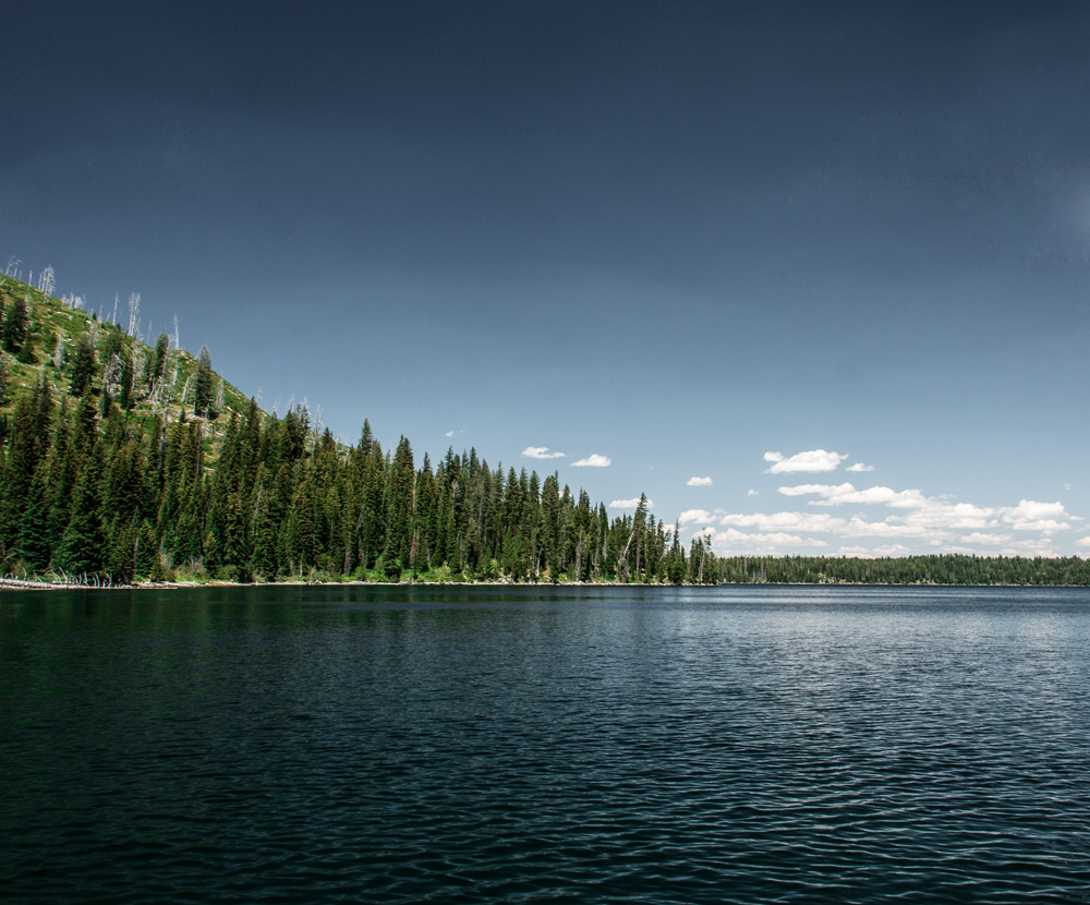 grand teton jenny lake