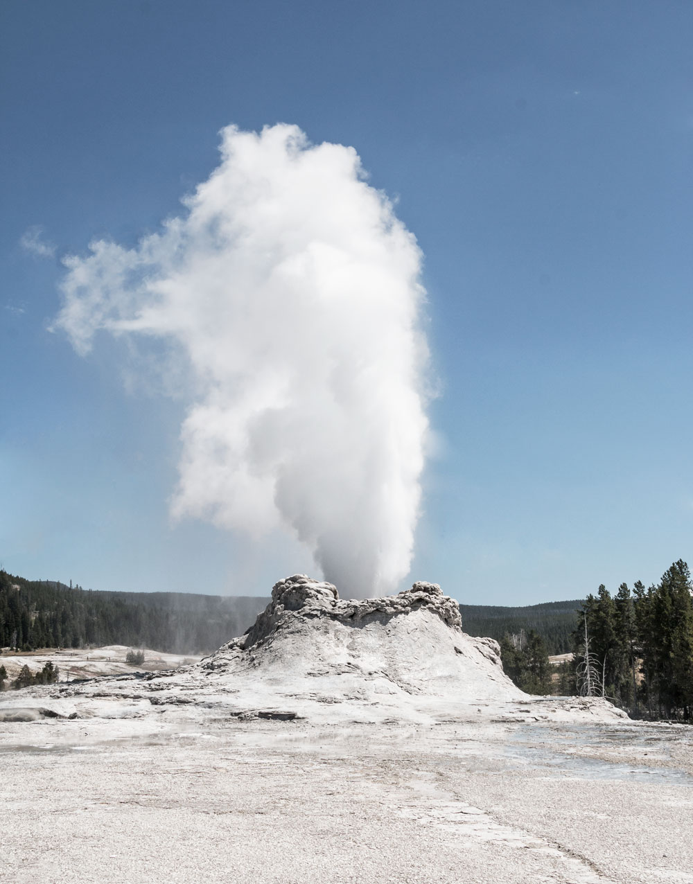 yellowstone castle geyser