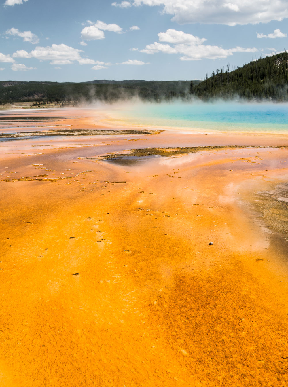 yellowstone grand prismatic spring