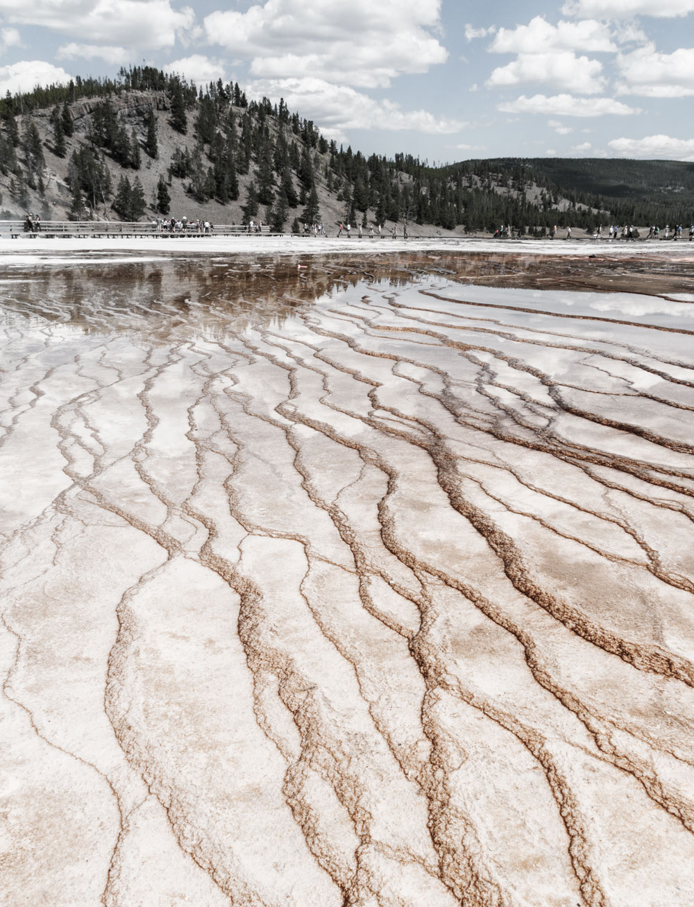 yellowstone grand prismatic spring