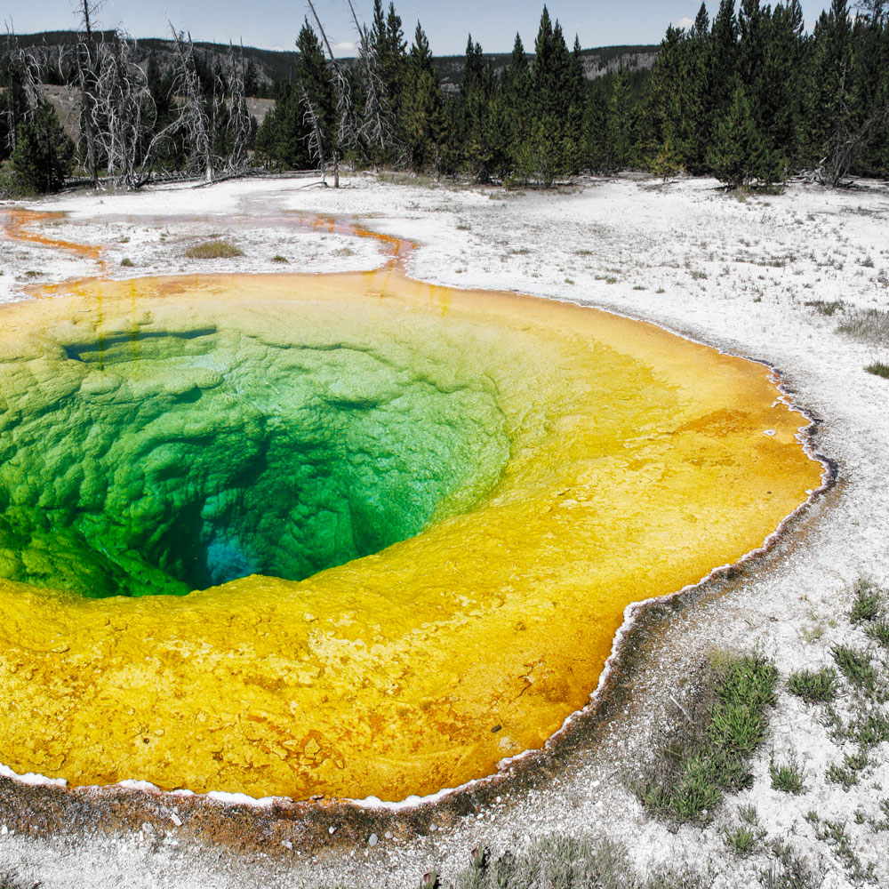 yellowstone morning glory pool