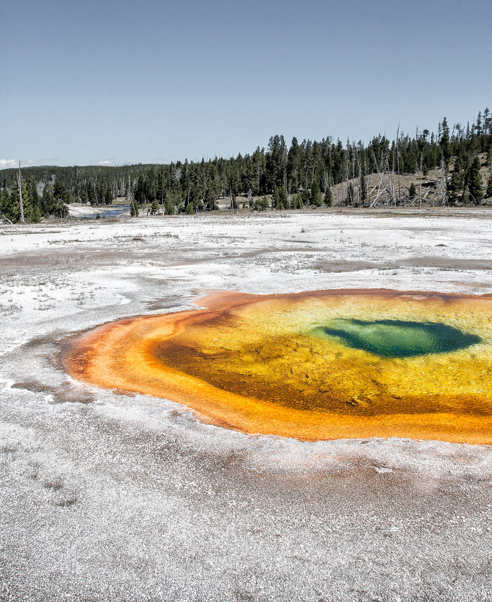 yellowstone spring