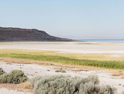 antelope island