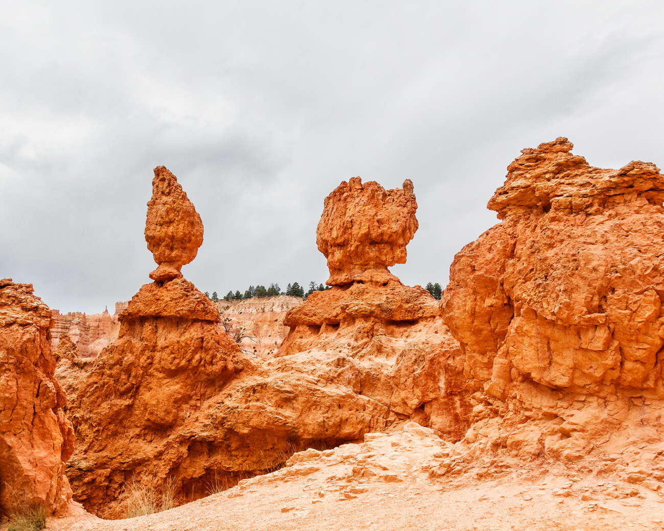 bryce canyon