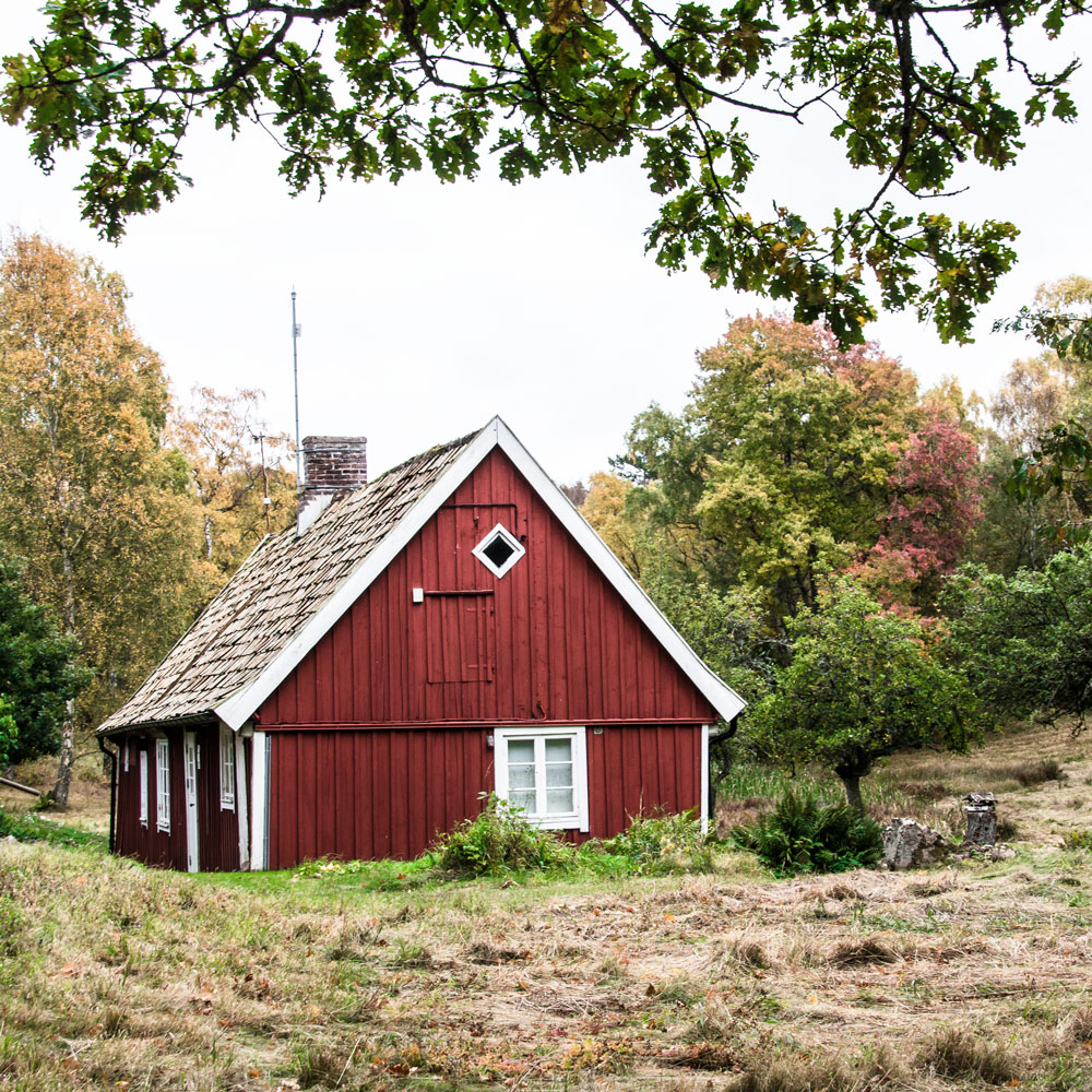 Vandretur på Kullen i Sydsverige