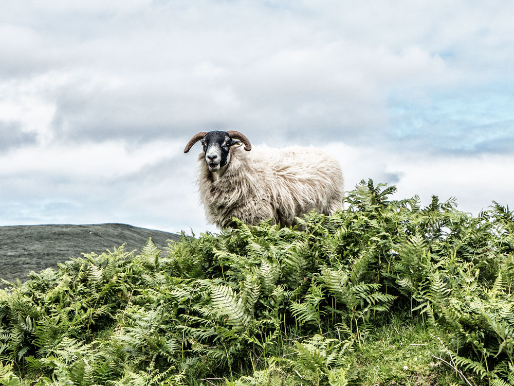 scotland isle of skye 