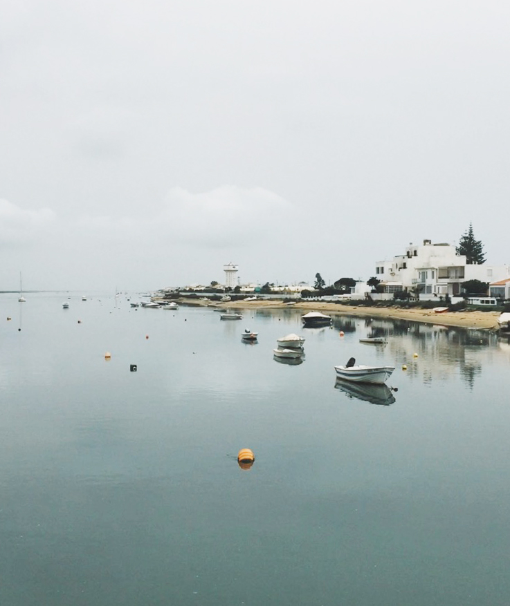 Ria Formosa - looking for flamingos on the Algarve Coast