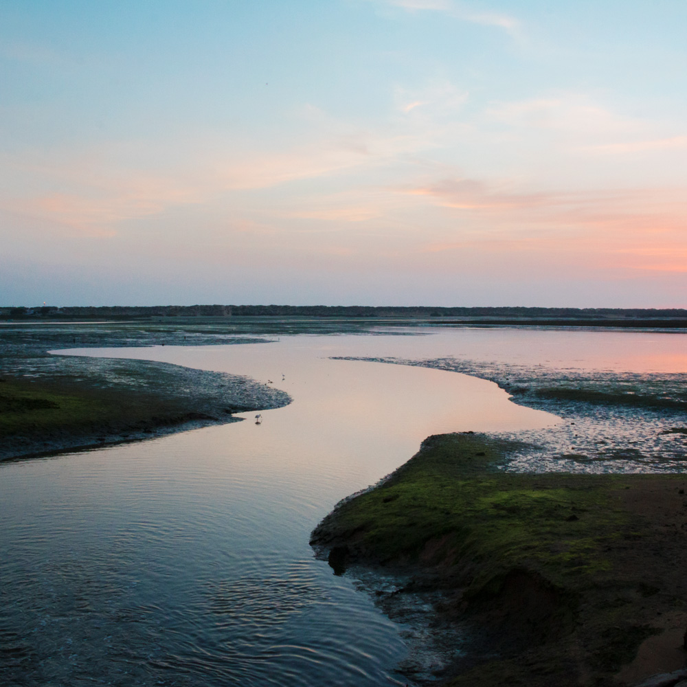 Ria Formosa - looking for flamingos on the Algarve Coast