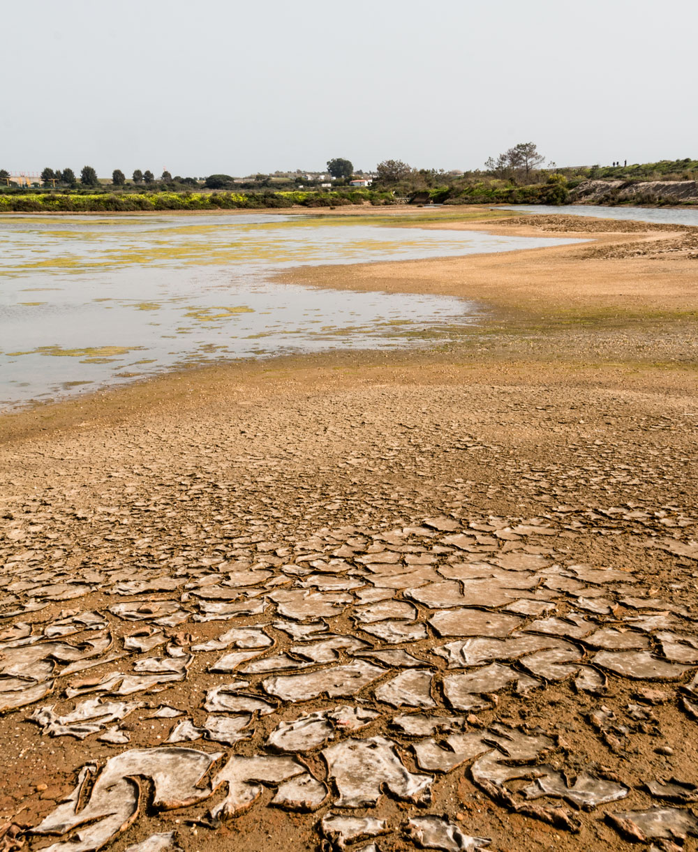 ria formosa