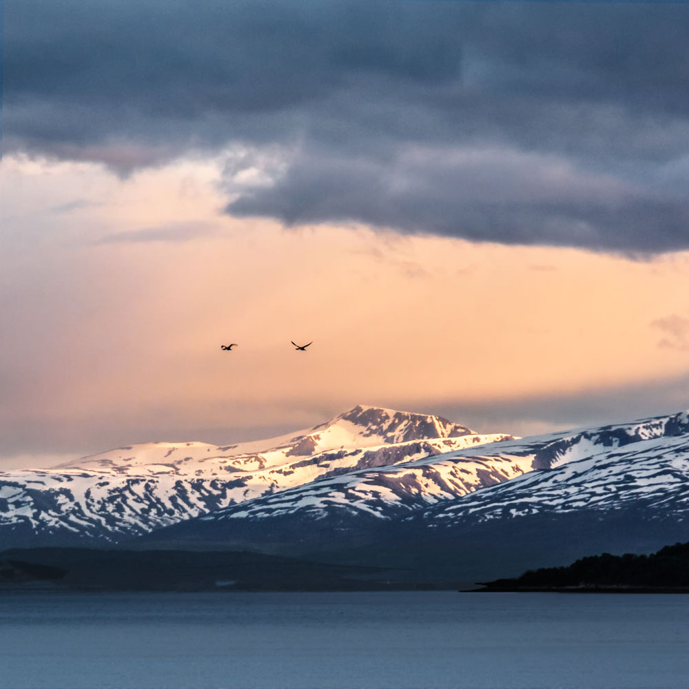 On cruise with Hurtigruten along Norway's coast / midnight sun in Tromsø 