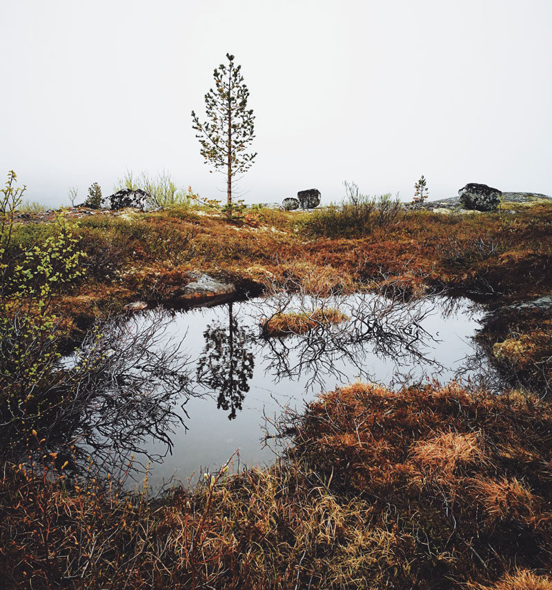 On cruise with Hurtigruten along Norway's coast