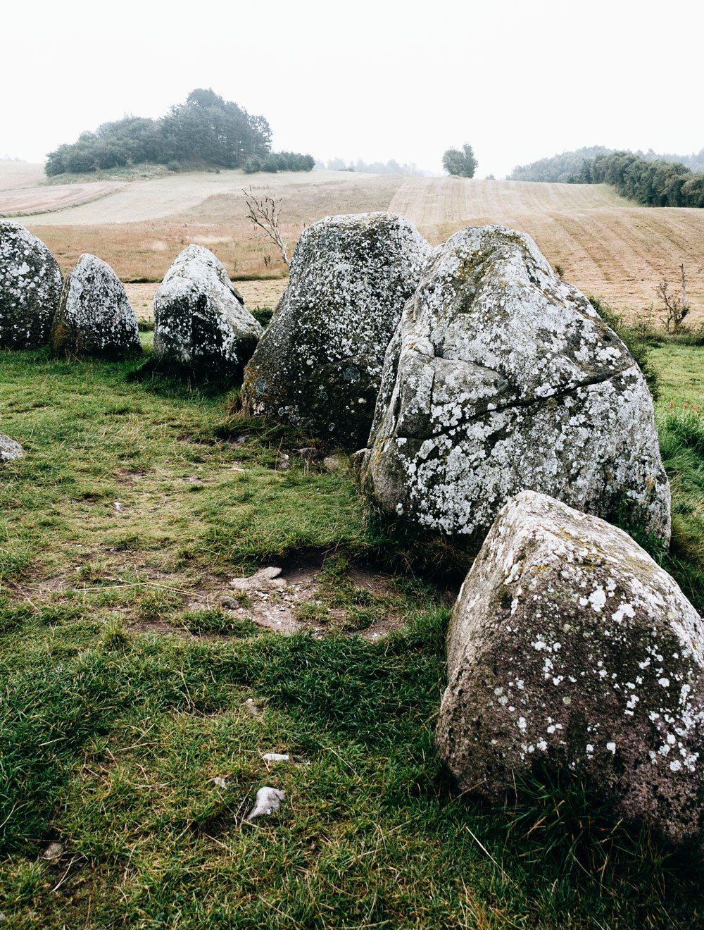 Mols Bjerge National park - nature attractions in North Denmark