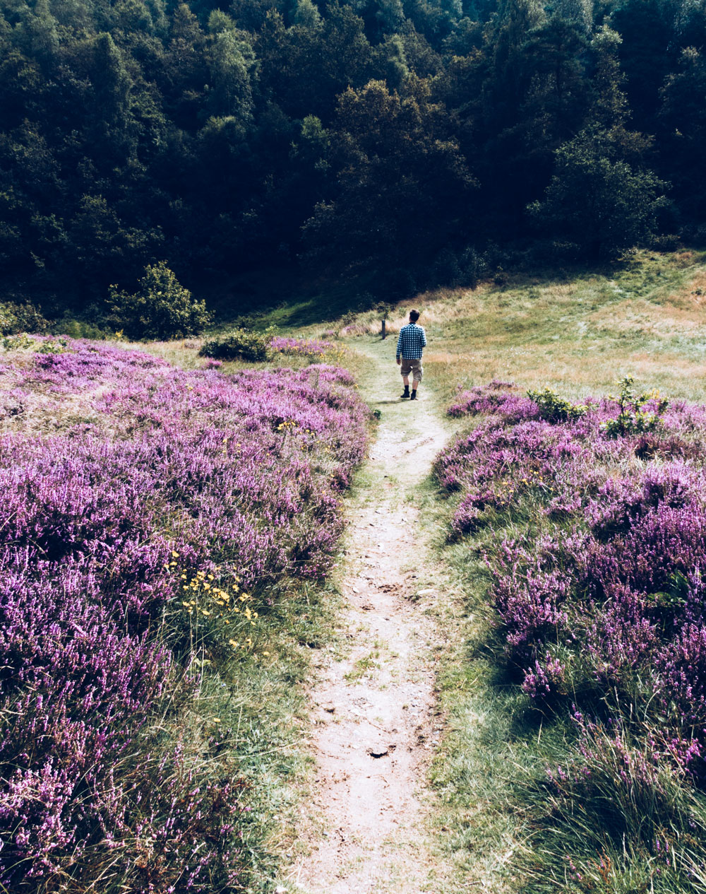 Mols Bjerge Nationalpark Tinghulen - naturoplevelser i Nordjylland