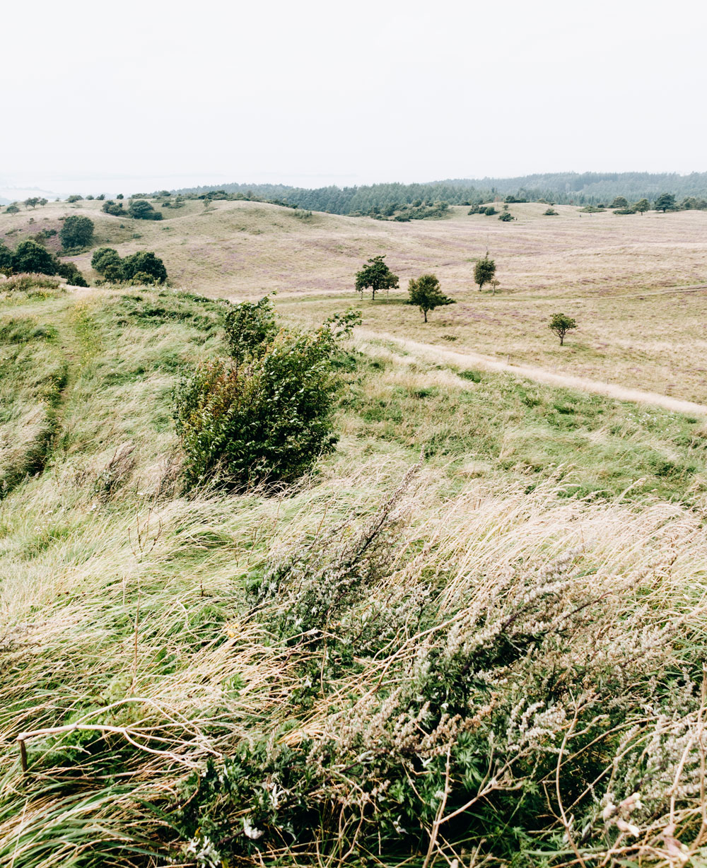 Mols Bjerge National park