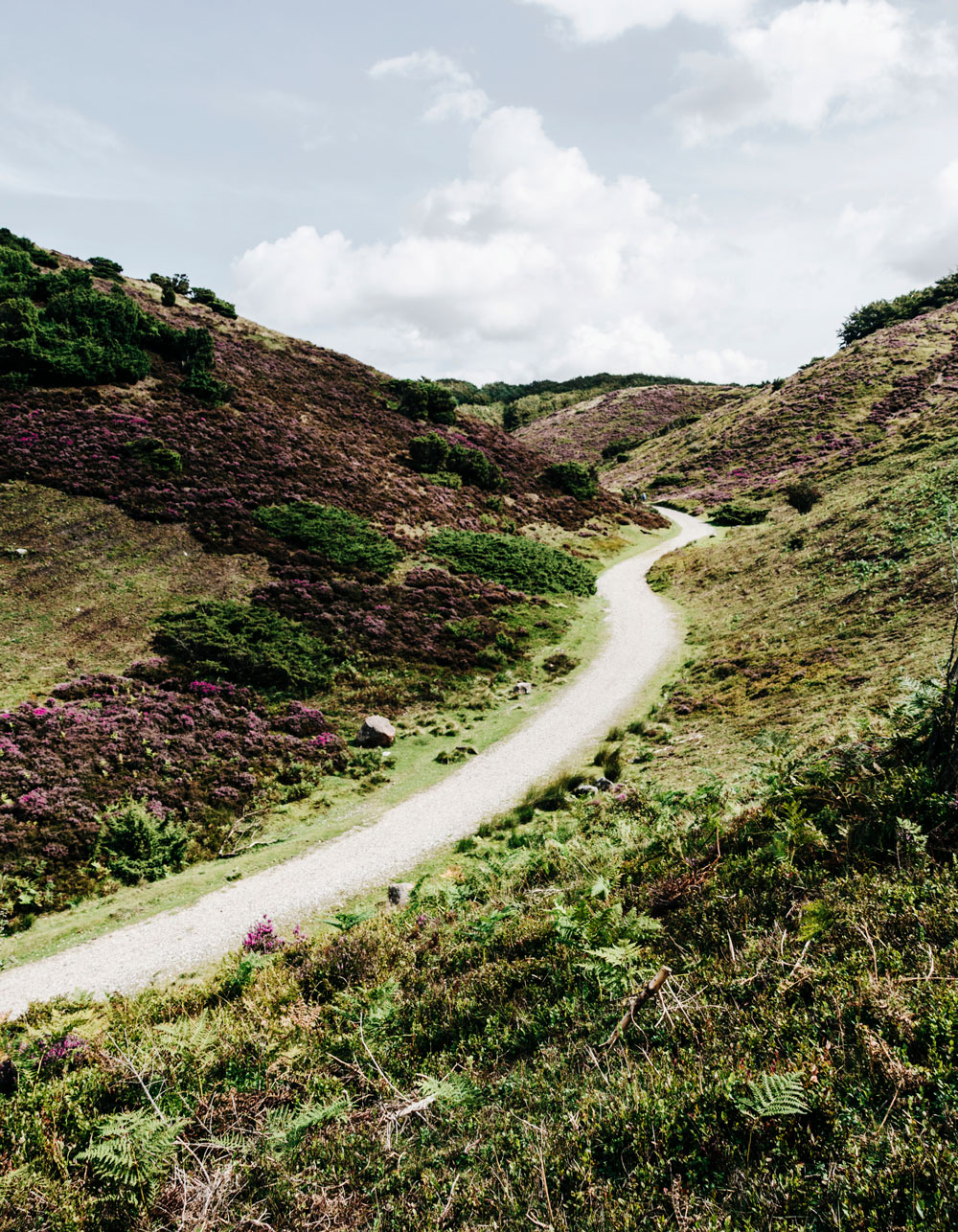 Rebild Bakker - nature attractions in North Denmark