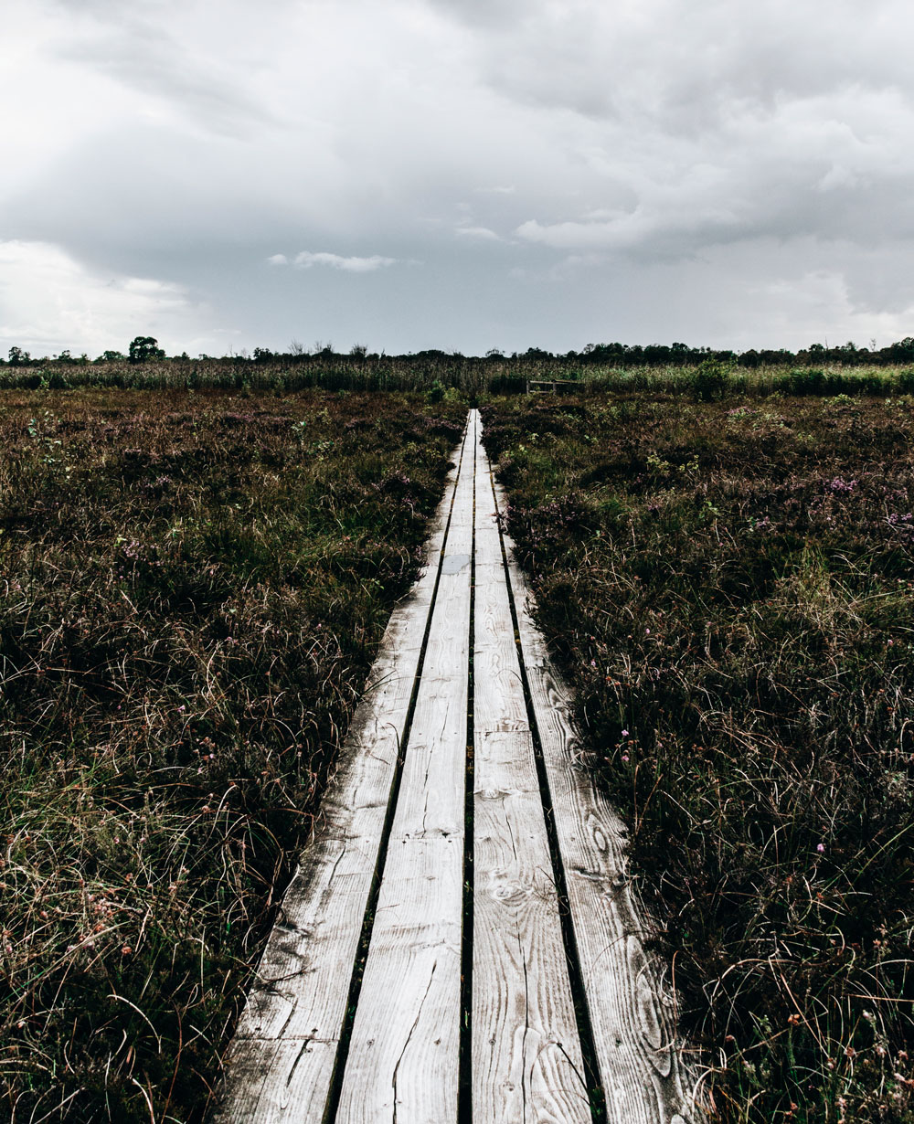 Lille Vildmose - nature attractions in North Denmark