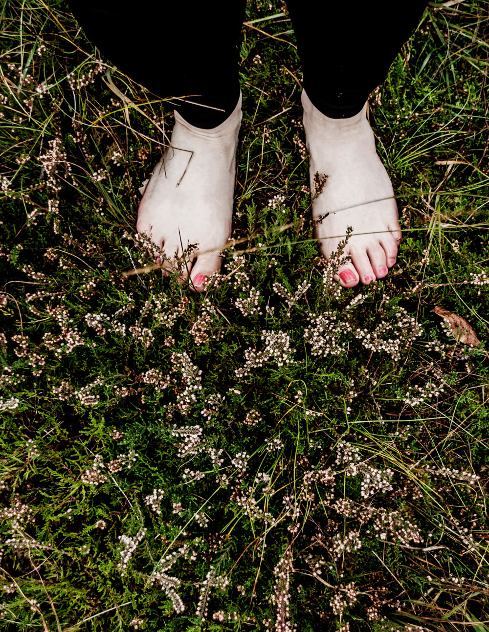 Walking the moors of Krumbach in Austria