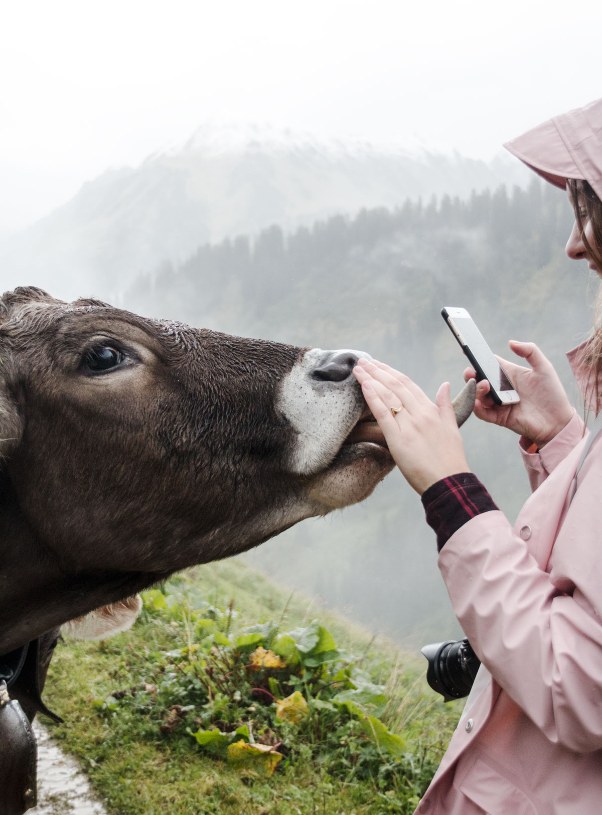 A culinary hike in the valley Kleinwalsertal in Austria