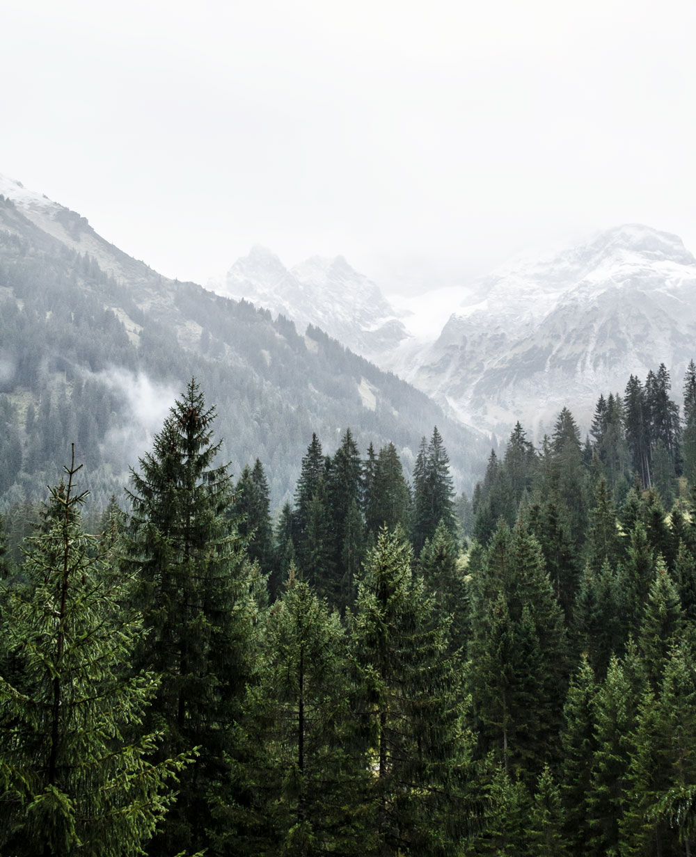 A culinary hike in the valley Kleinwalsertal in Austria