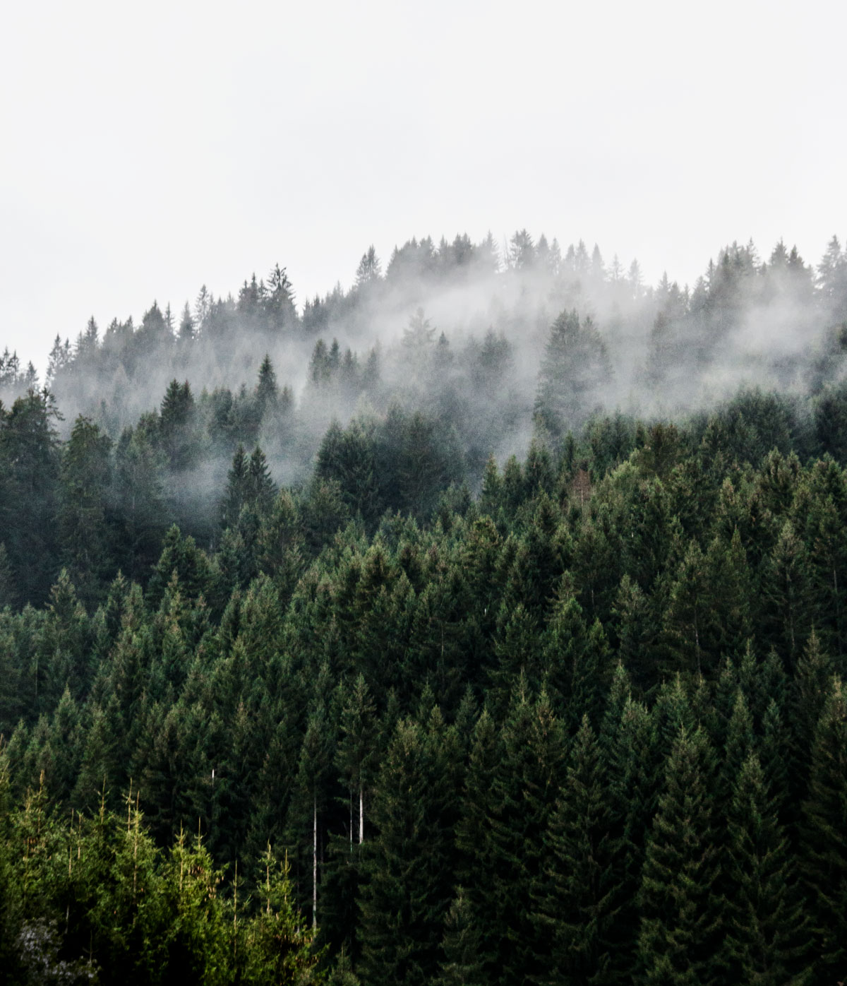 A culinary hike in the valley Kleinwalsertal in Austria