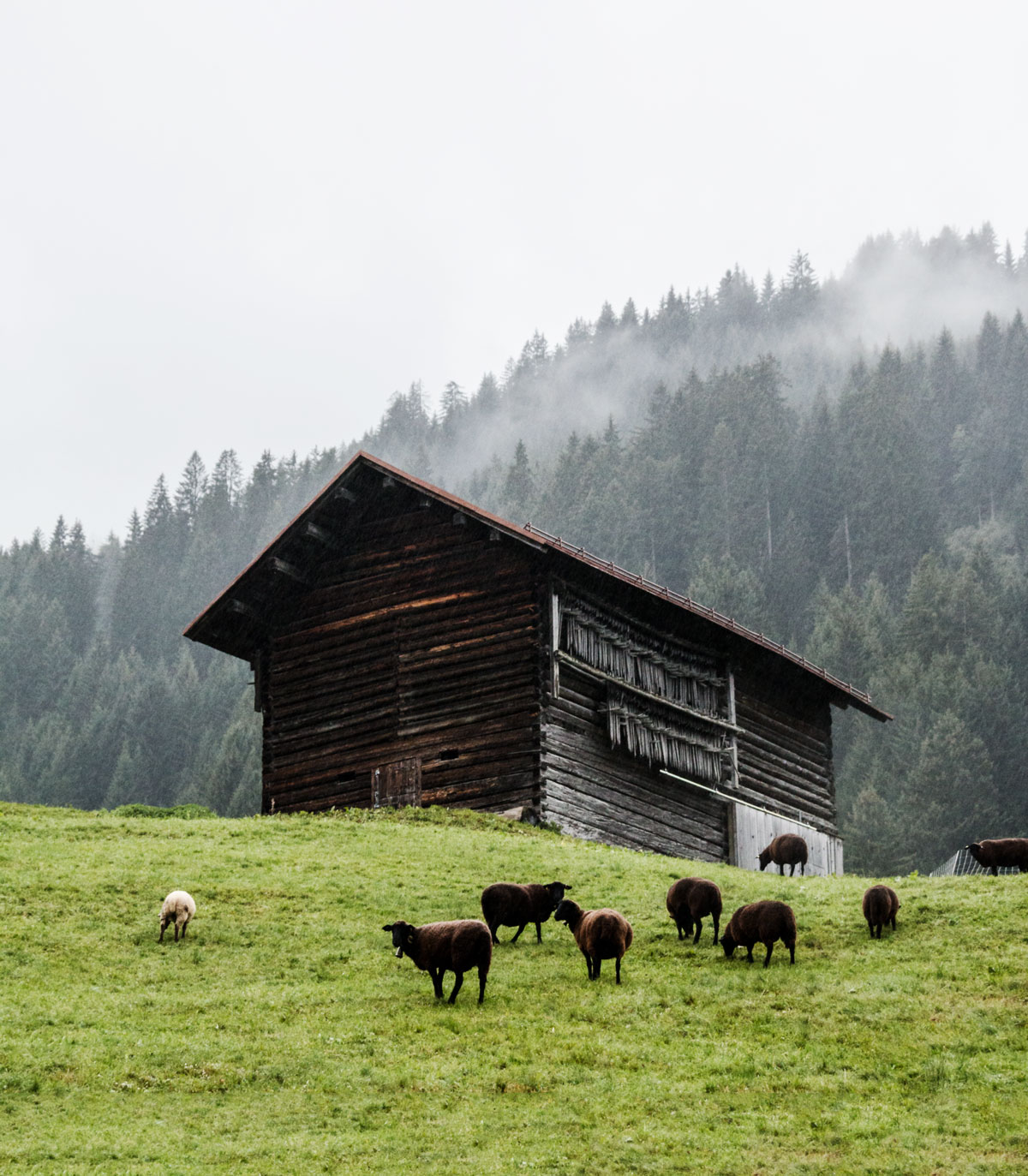 A culinary hike in the valley Kleinwalsertal in Austria