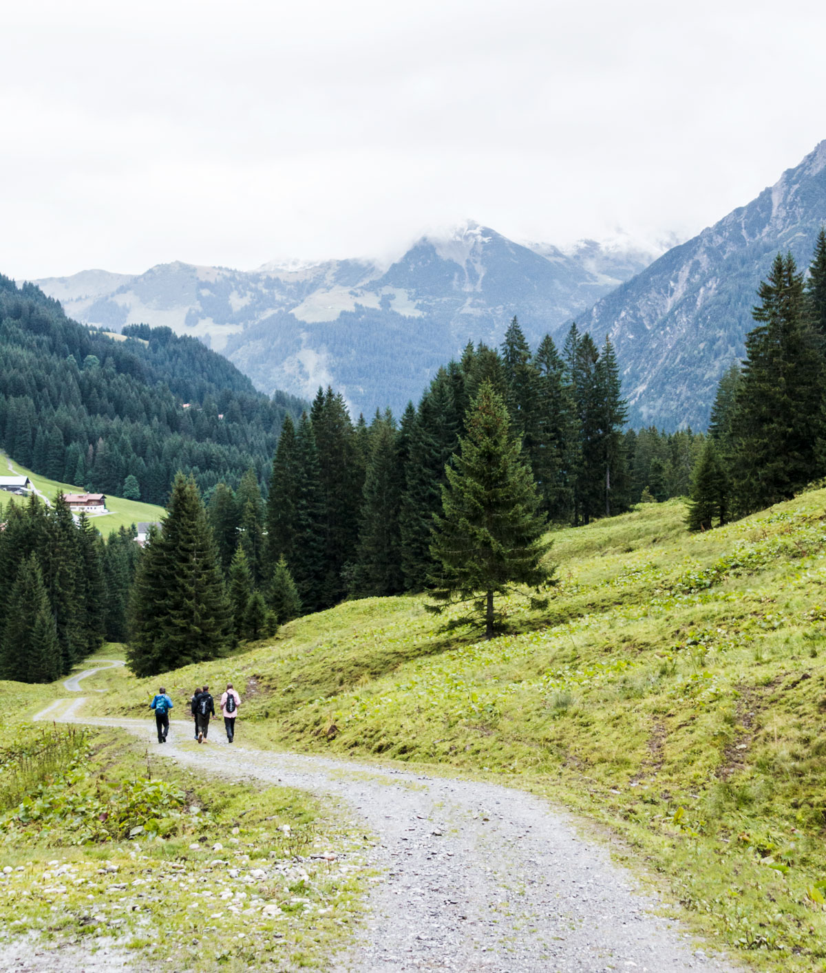 A culinary hike in the valley Kleinwalsertal in Austria