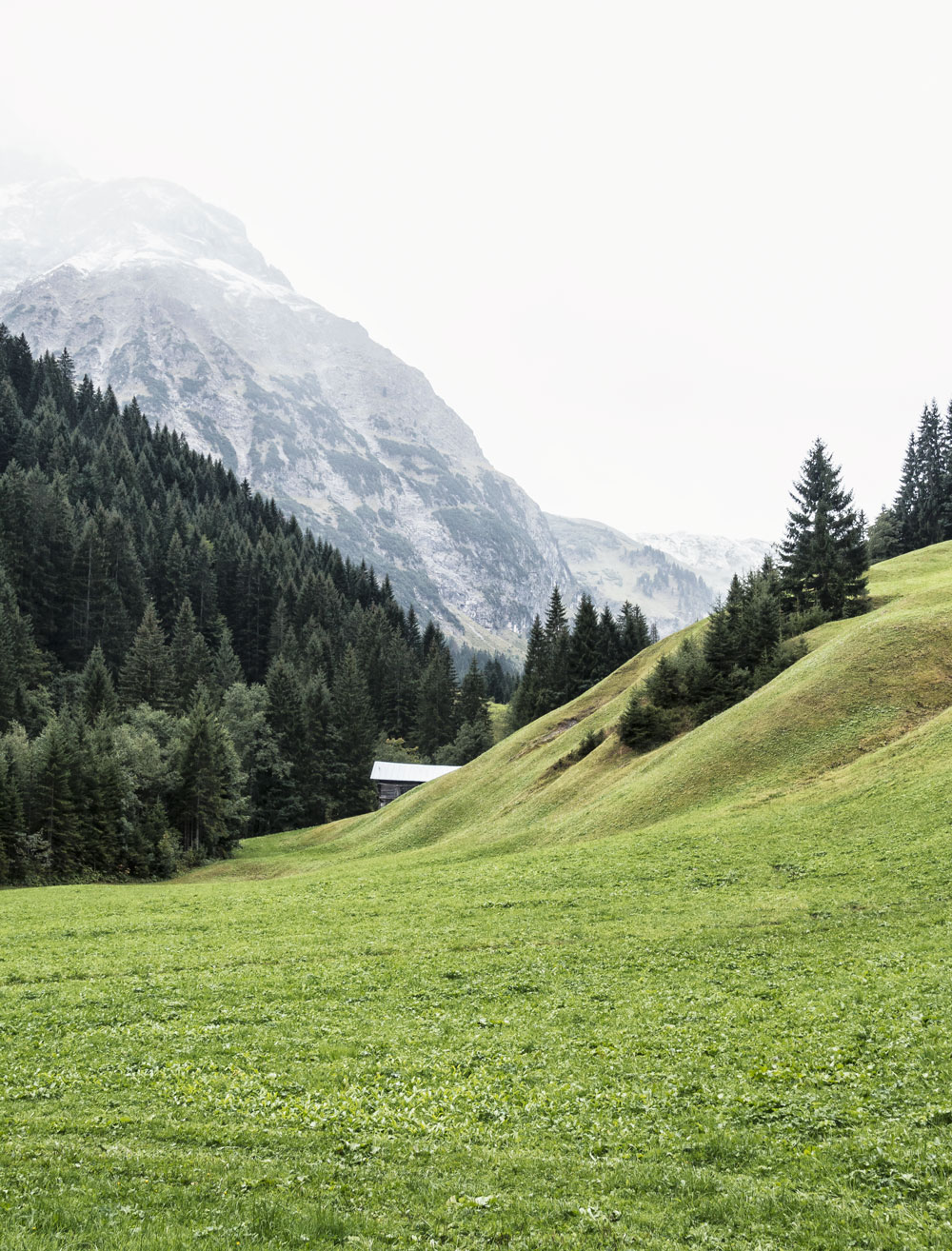 A culinary hike in the valley Kleinwalsertal in Austria