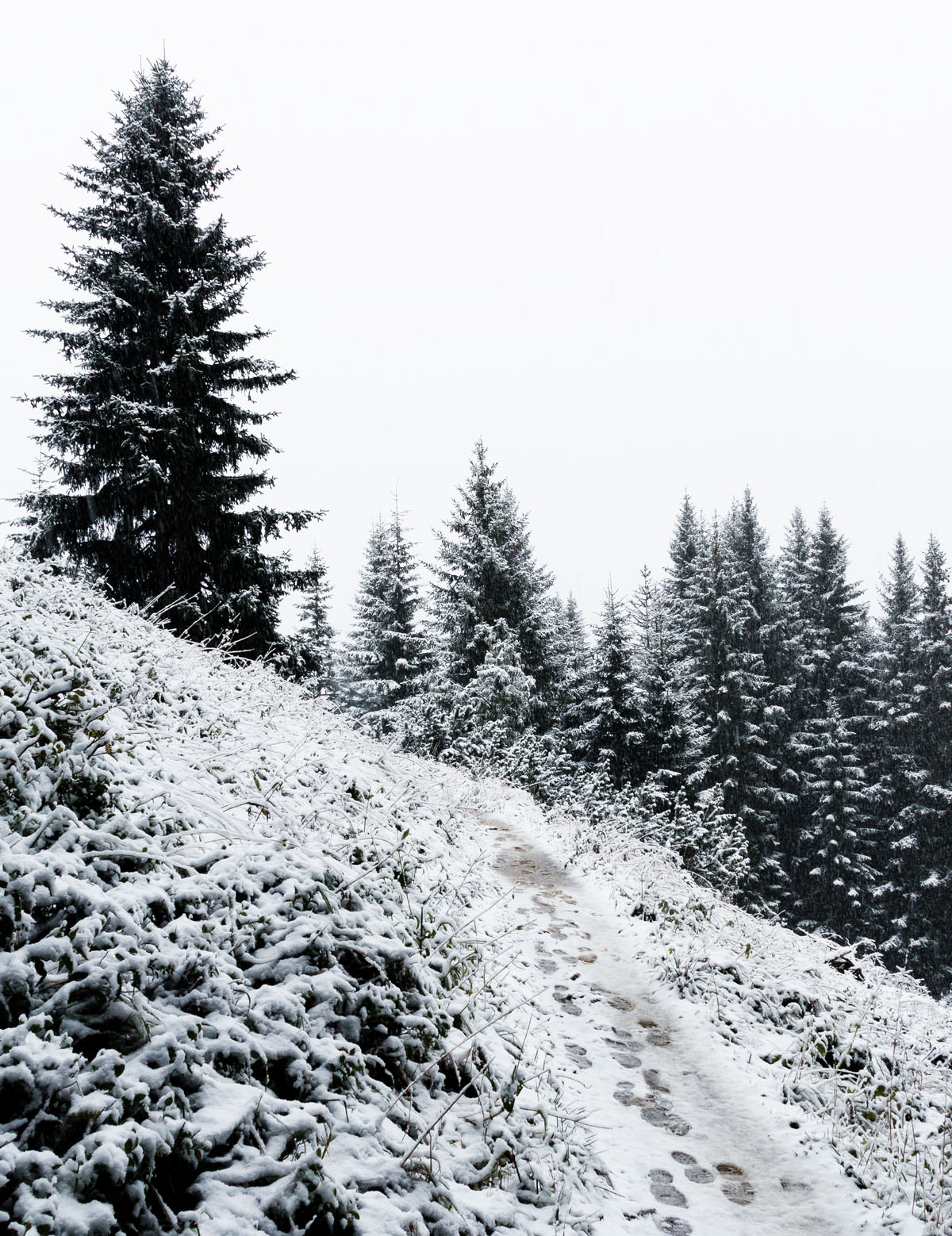 A wild hike in the Montafon mountains in Austria