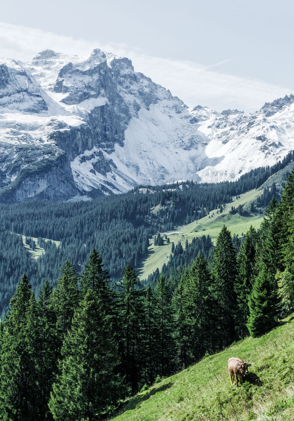 A wild hike in the Montafon mountains in Austria