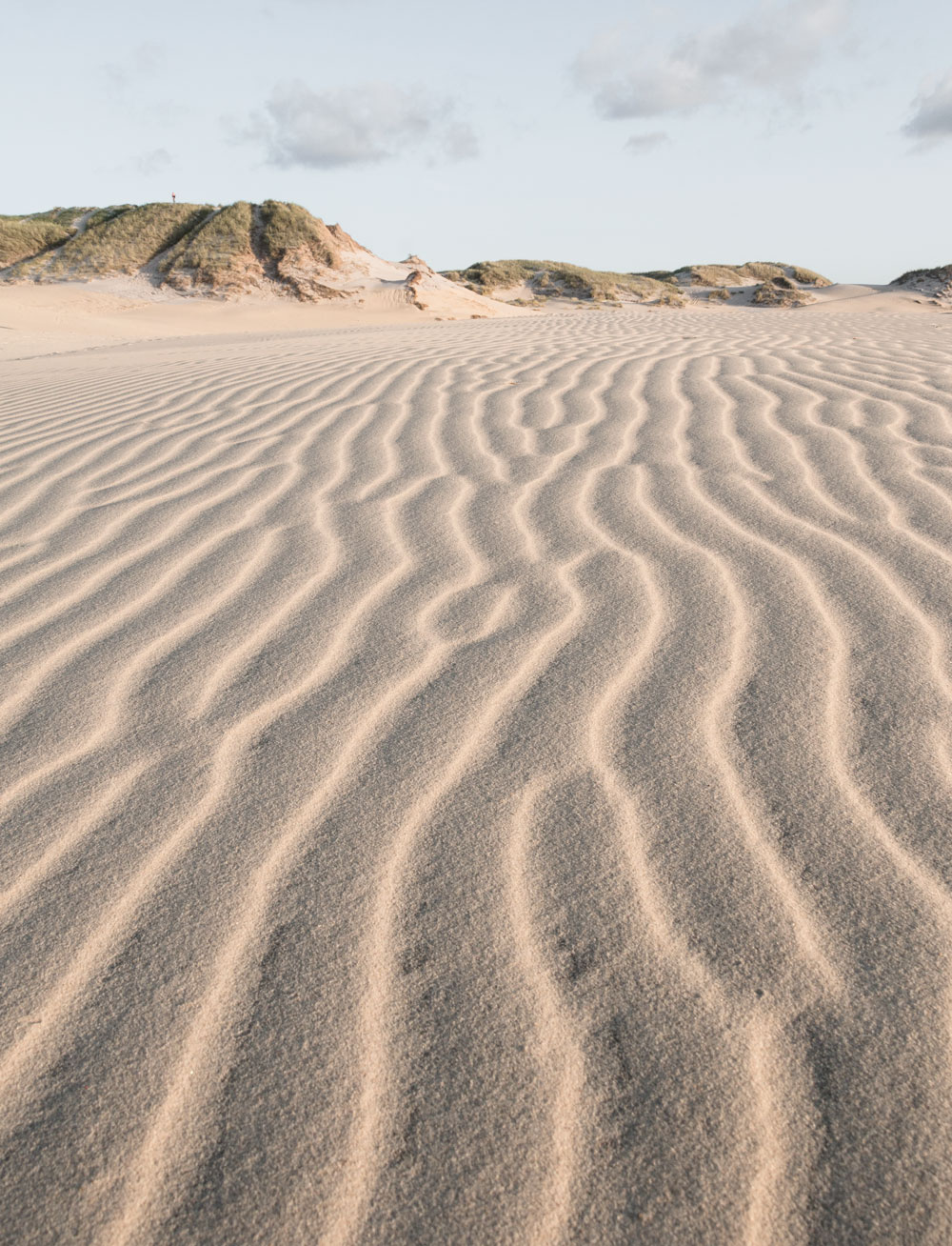 Råbjerg Mile smukke natureoplevelser Nordjylland Skagen