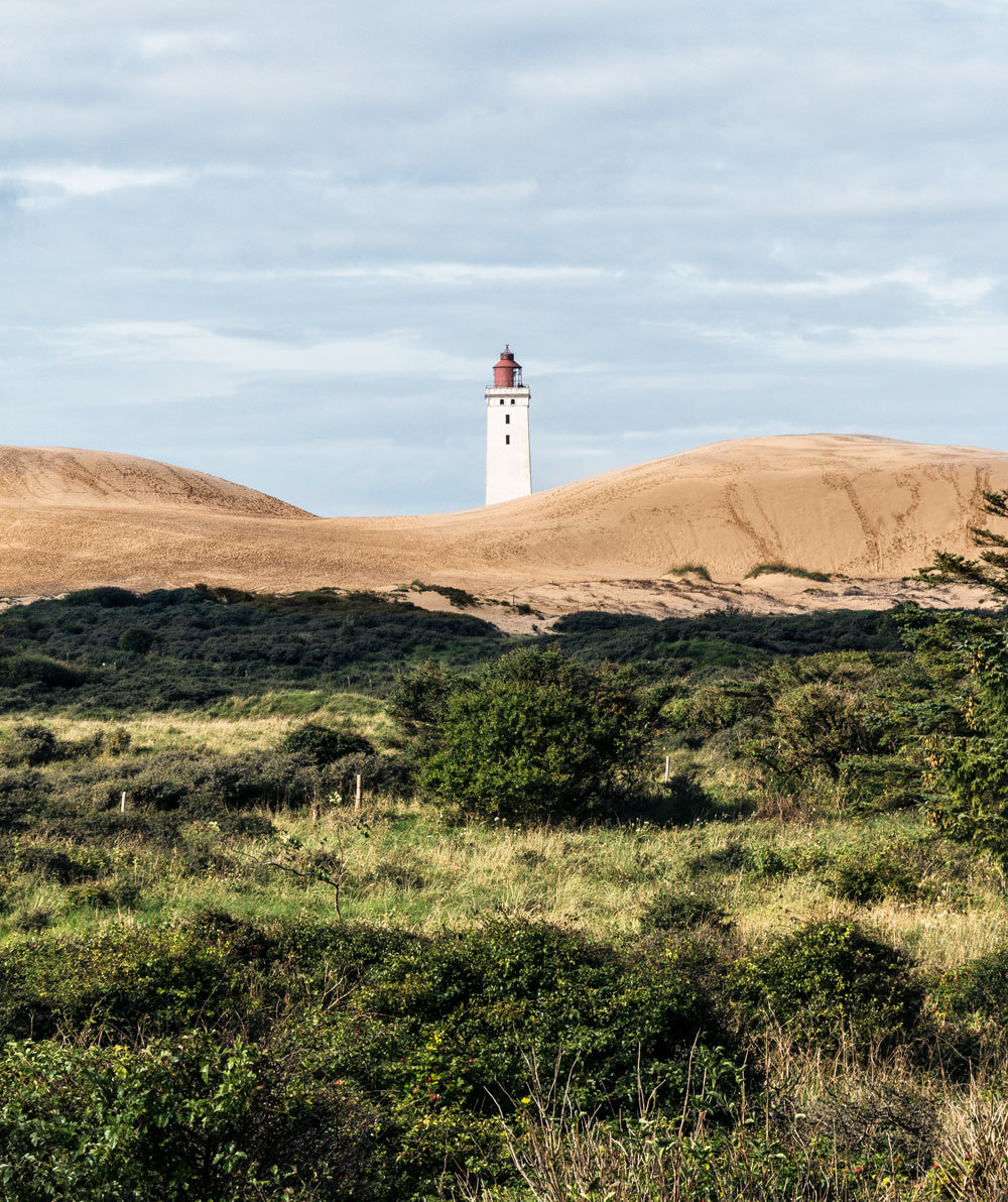 Rubjerg Knude fyr smukke naturoplevelser Nordjylland