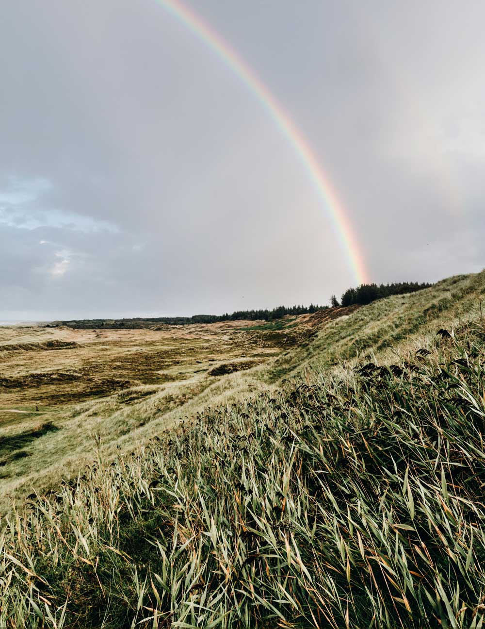 Bulbjerg - 6 smukke naturområder i Midt- og Nordjylland