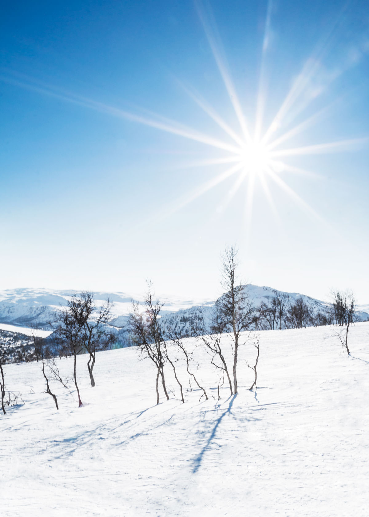 Ski i Hovden Norge 