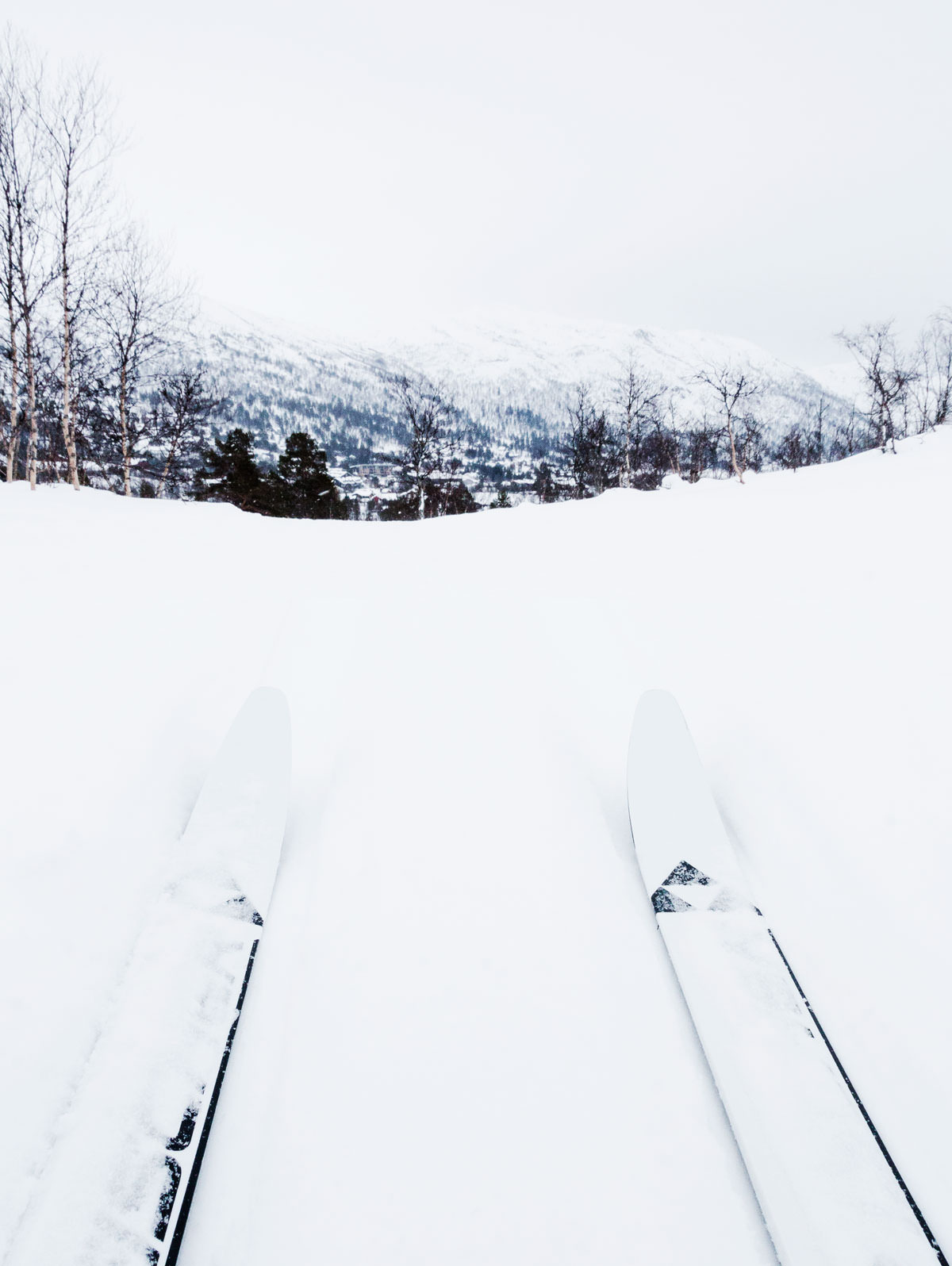 ski langrend i Hovden Norge