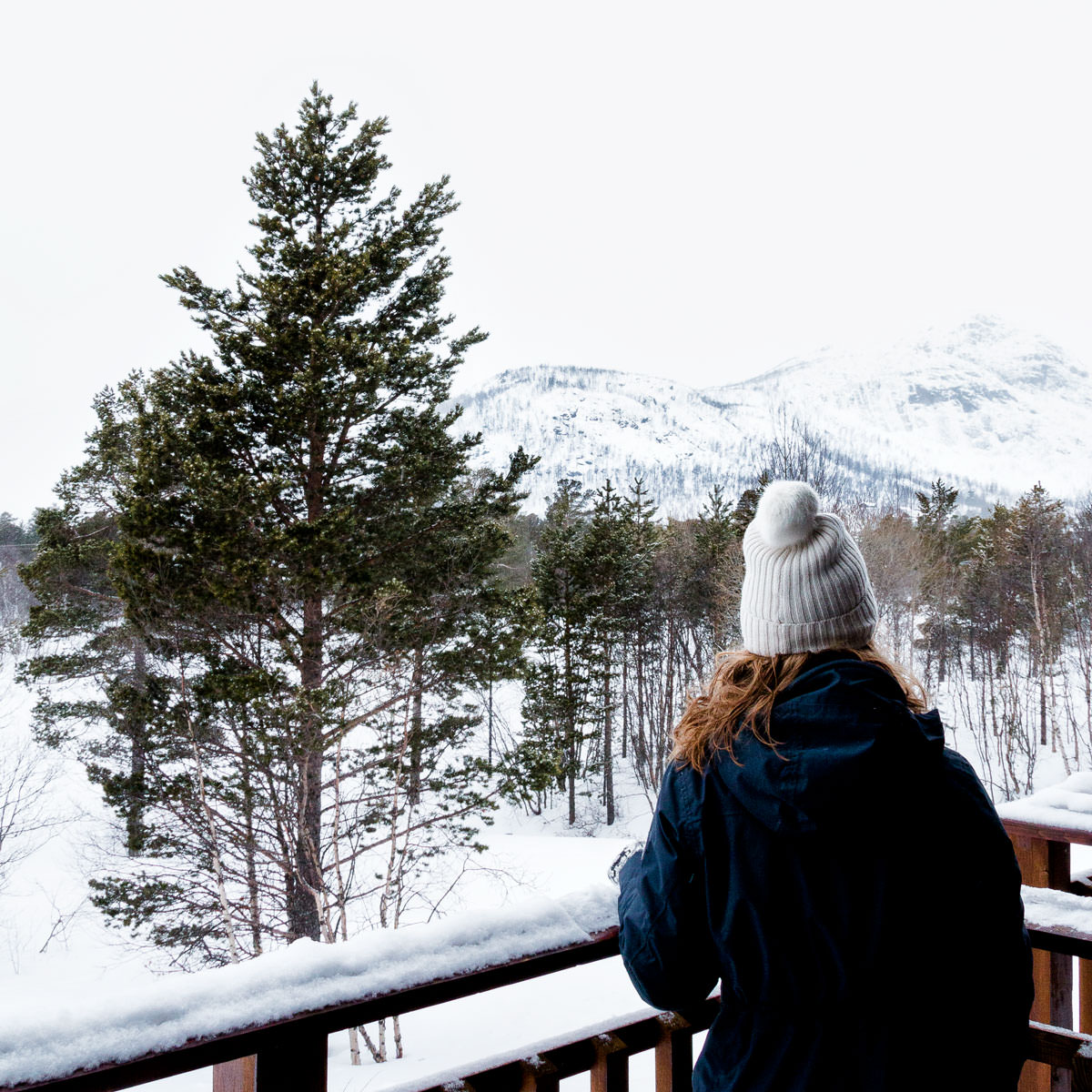 udsigt fra lejlighed på Hovden Resort Norge