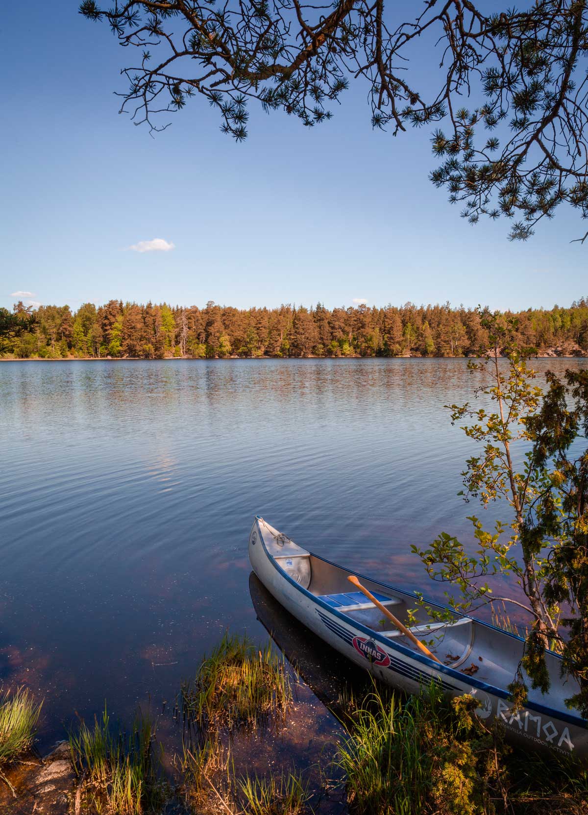 Canoe trip in Småland Sweden on our very own island