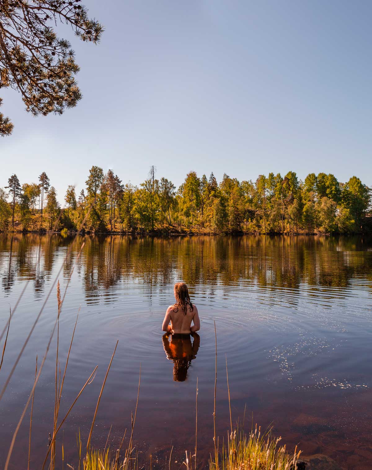 Bo i Småland Sverige på din helt egen ø - morgendukkert i søen