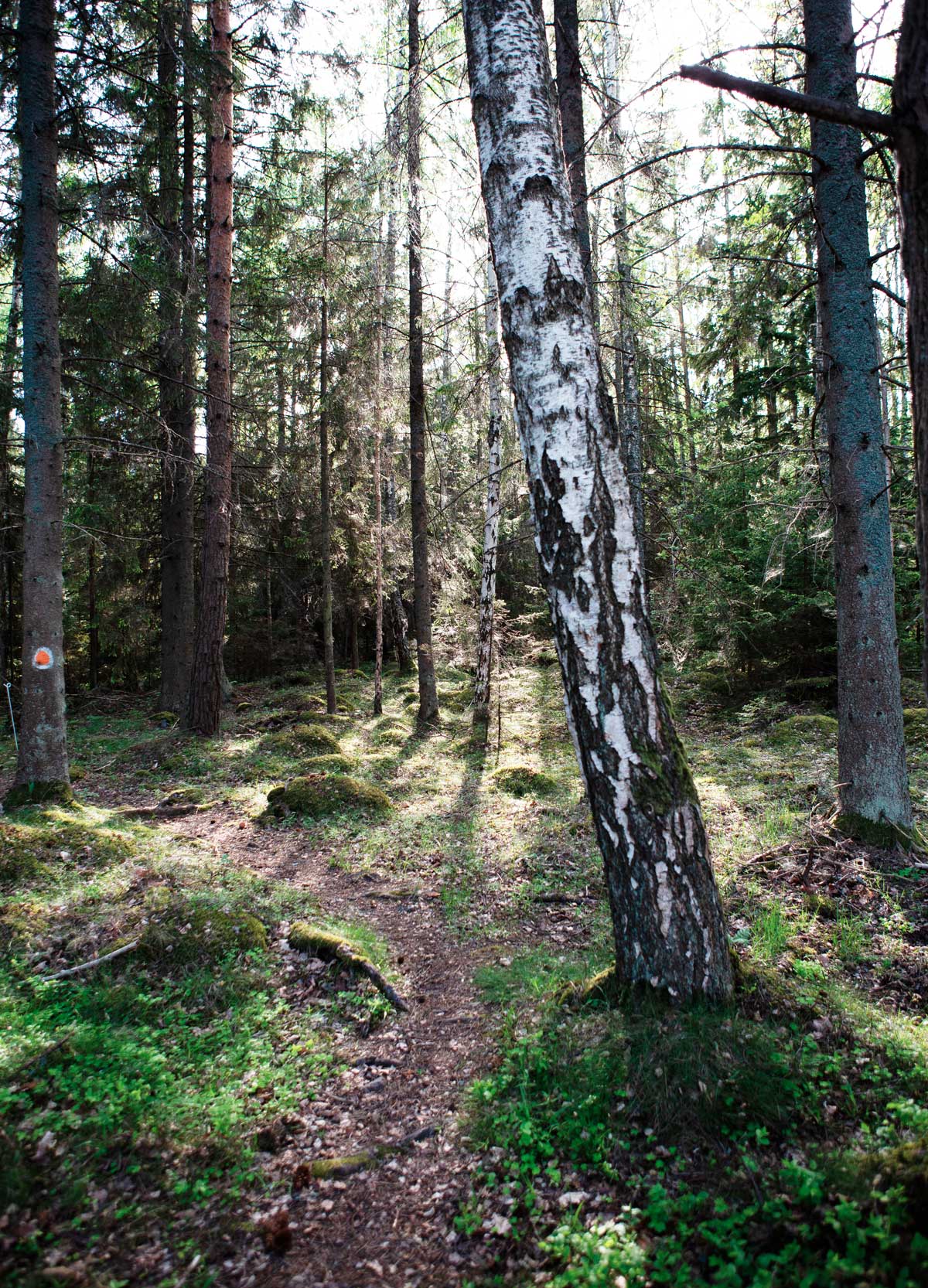 Västerviks Skærgård i Småland - Hasselö