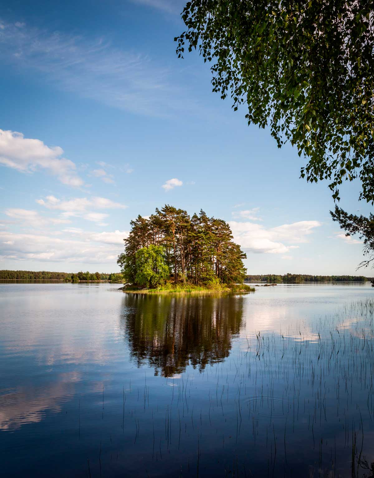 naturoplevelser i Småland Sverige - en rejseguide