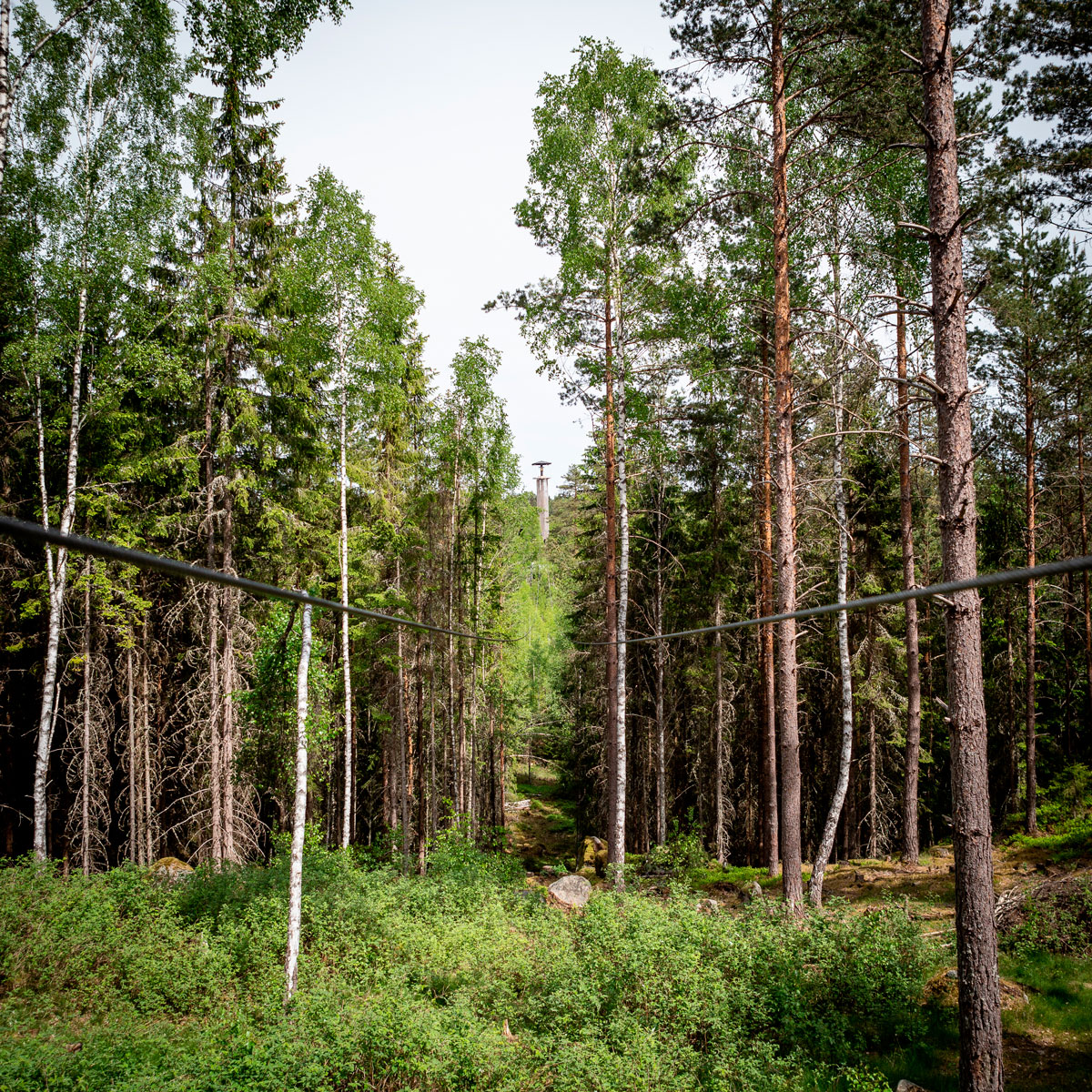 Nature attractions in Småland, Sweden – Åsnen National Park and Little Rock Lake