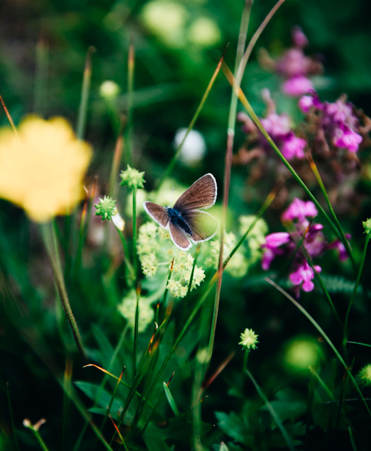 Dolomites itinary: The best photo locations