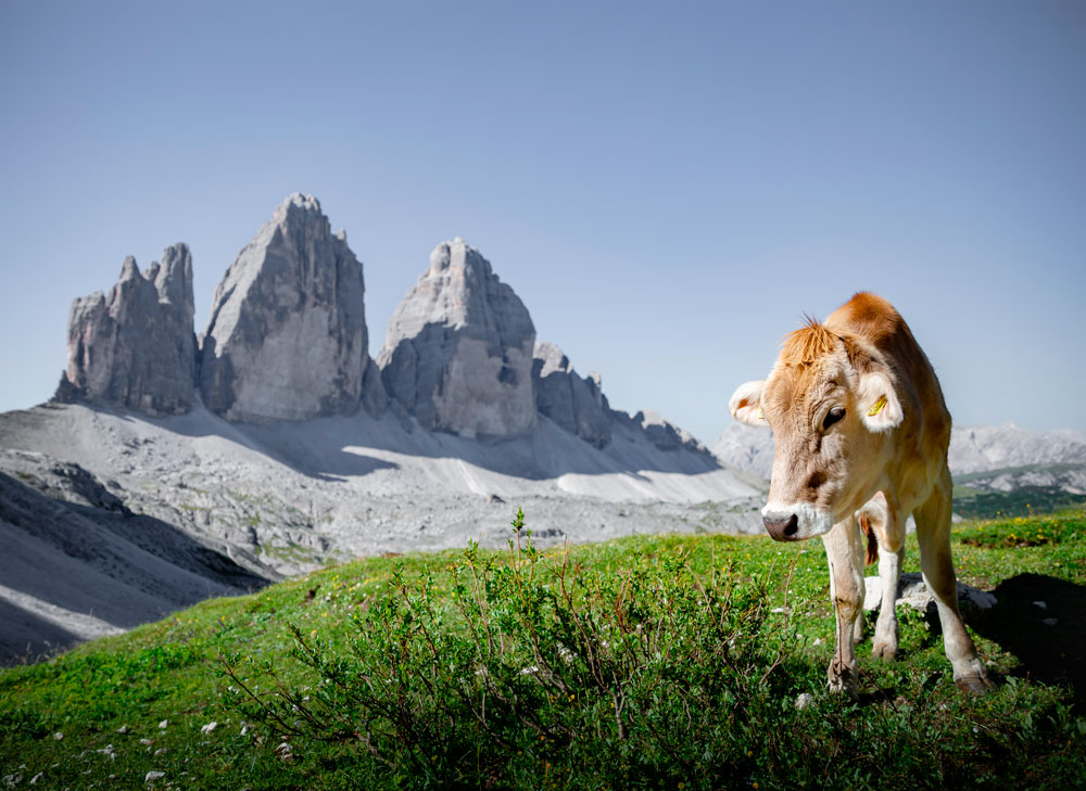 Dolomitterne: Vandretur rundt om De Tre Tinder