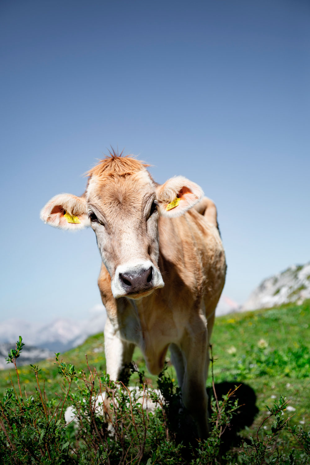 The Dolomites: Hiking around Tre Cime Di Lavaredo