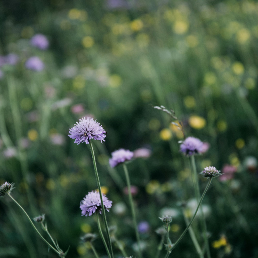 The Dolomites: A 6 days itinerary to the best photo locations