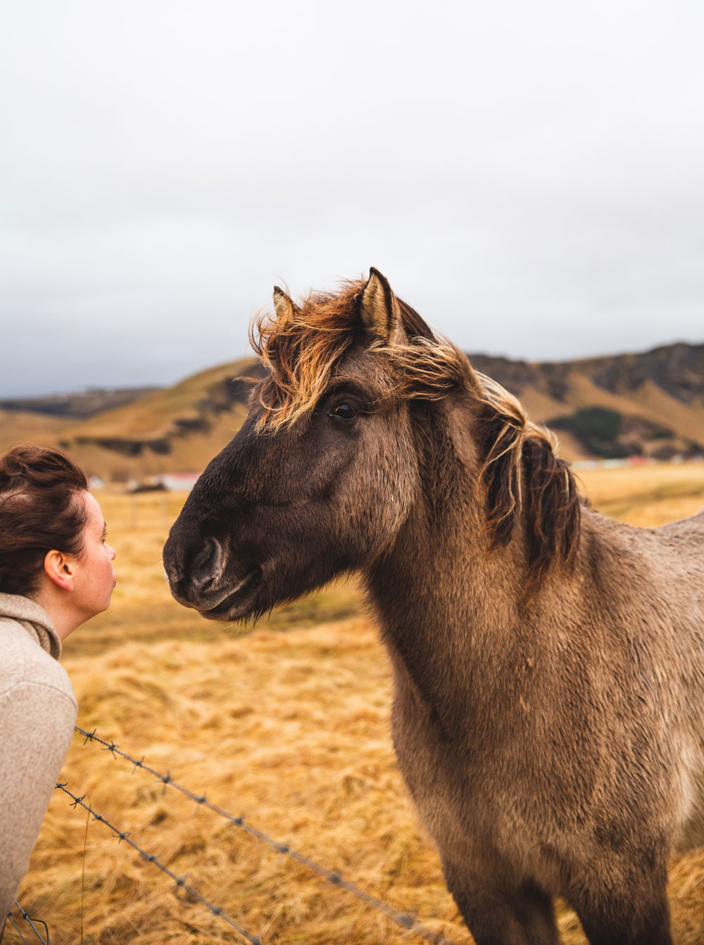 An itinerary to South Iceland in winter – northern lights, hot pools and ice caves