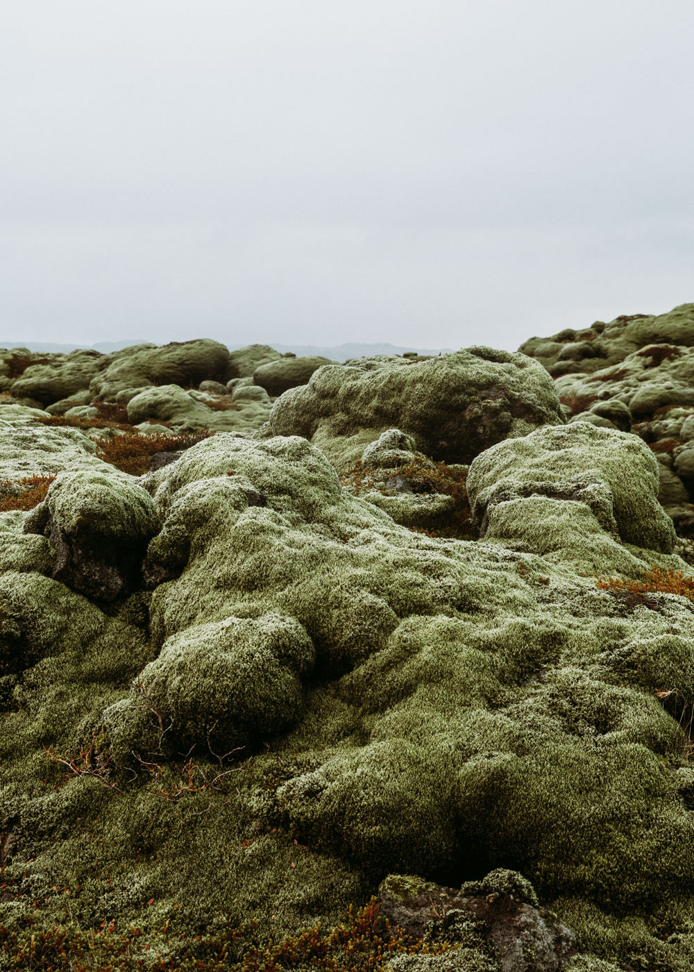 Seværdigheder på Island om vinteren - vandfald, varme kilder og ishuler