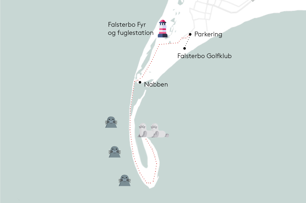 Kort naturreservatet Måkläppen ved Falsterbo